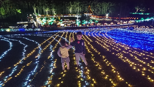 10日・東南植物楽園の光の散歩道！